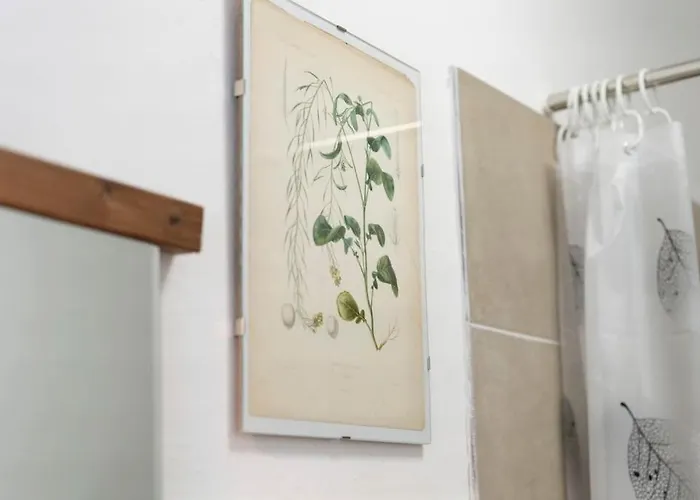 Daire Il Centro Di *